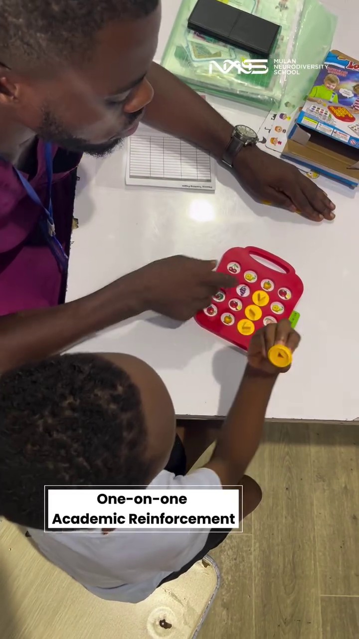 One-on-One Academic Reinforcement